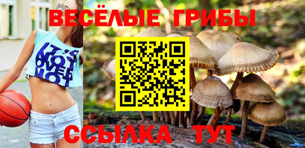 Псилоцибиновые грибы мухоморы Алексеевка