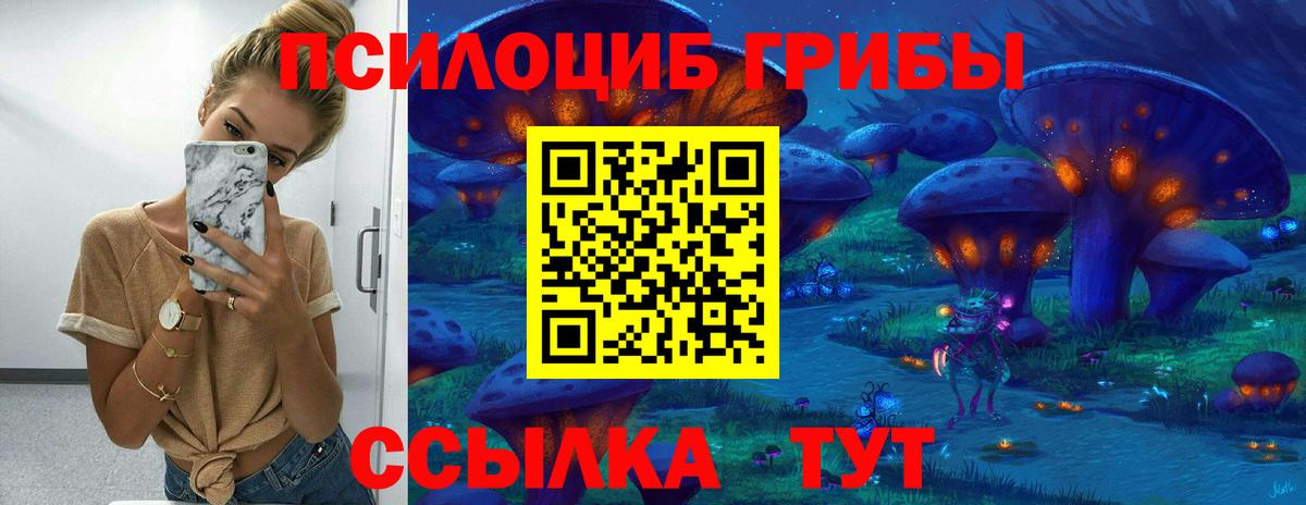 дарнет шоп  Галлюциногенные грибы прущие грибы  Вход с VPN  Псилоцибиновые грибы мухоморы  Алексеевка 